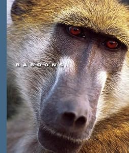 Baboons (World of Mammals (Childs World))