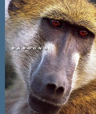 Baboons (World of Mammals (Childs World))