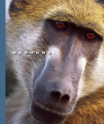 Baboons (World of Mammals (Childs World)) by Sophie Lockwood