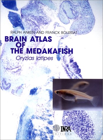 Brain atlas of the medakafish: Oryzias latipes by unknown author