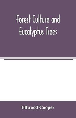 Forest culture and eucalyptus trees
