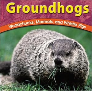 Groundhogs: Woodchucks, Marmots, and Whistle Pigs (Wild World of Animals (Bridgestone))