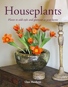 Houseplants: Plants to add style and glamour to your home