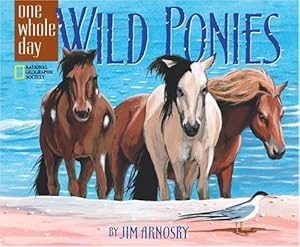 Wild Ponies: A One Whole Day Book