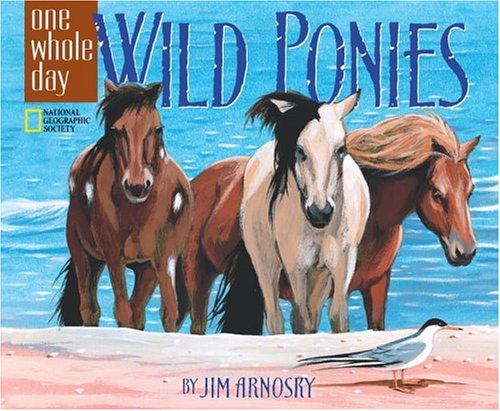 Wild Ponies: A One Whole Day Book by Jim Arnosky