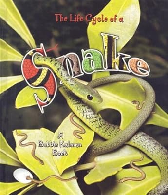 The Life Cycle of a Snake