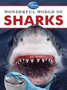 Wonderful World of Sharks