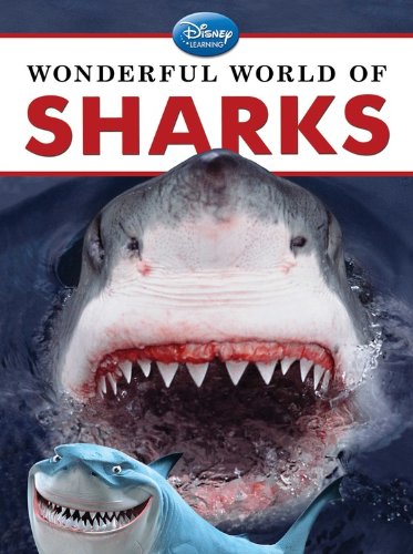 Wonderful World of Sharks by Christina Wilsdon