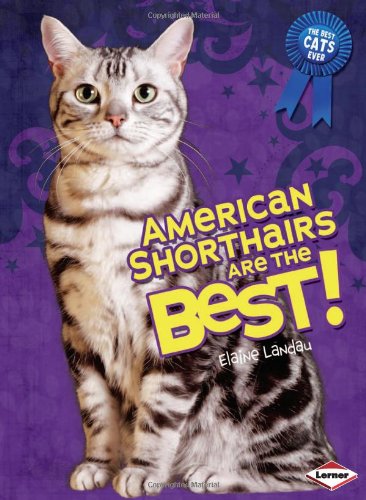 American Shorthairs Are the Best! by Elaine Landau