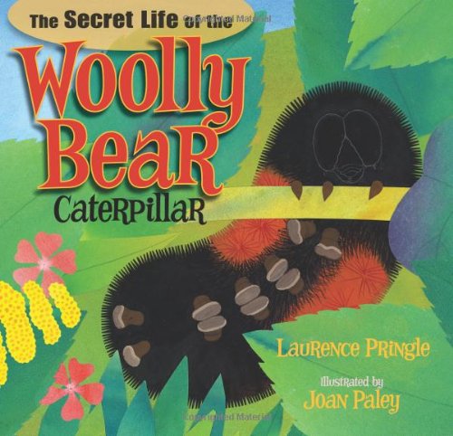 The Secret Life of the Woolly Bear Caterpillar by Laurence Pringle