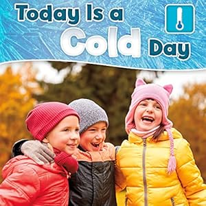 Today Is a Cold Day: What Is the Weather Today? by anonymous