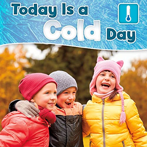 Today Is a Cold Day: What Is the Weather Today? by anonymous
