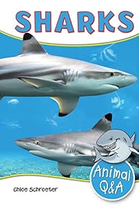 Sharks
