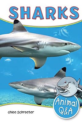 Sharks