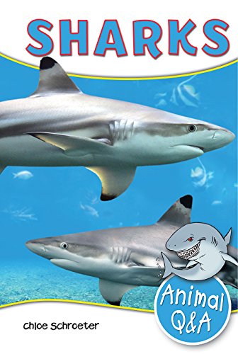 Sharks by Chloe Schroeter