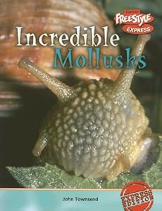 Incredible Mollusks (Freestyle Express: Incredible Creatures)