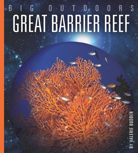 Great Barrier Reef by Valerie Bodden