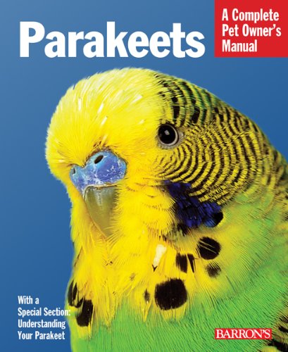 Parakeets by Gayle Soucek