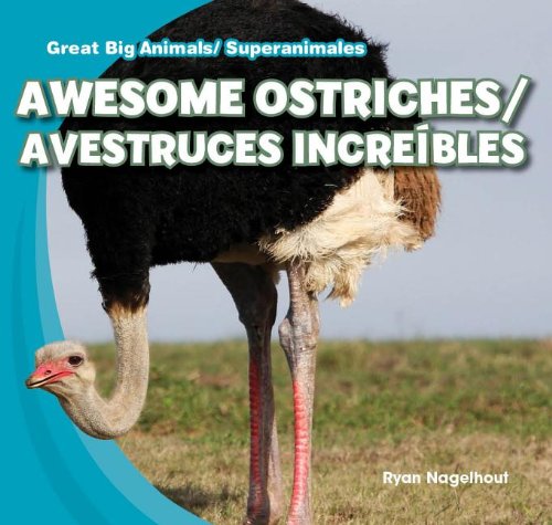Awesome Ostriches / Avestruces Incre&iacute;bles by Ryan Nagelhout