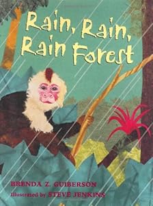 Rain, Rain, Rain Forest