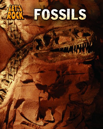 Fossils by Richard Spilsbury