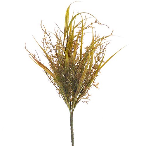 Algopix Similar Product 12 - Factory Direct Craft 3 Small Whispy