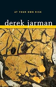 At Your Own Risk: A Saint’s Testament