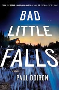 Bad Little Falls: A Novel