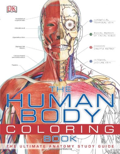 The Human Body Coloring Book by DK Publishing