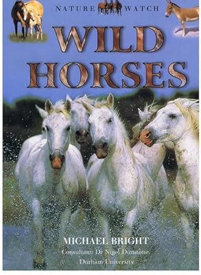 Wild Horses (Nature Watch)