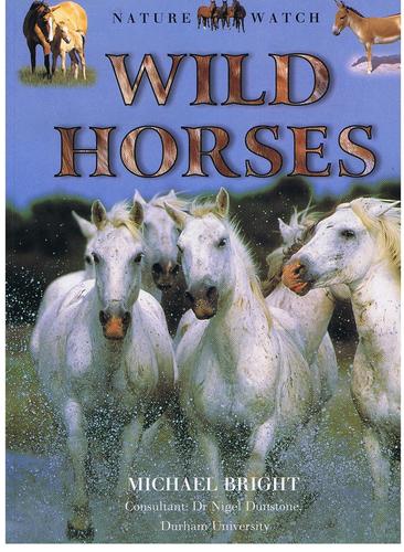 Wild Horses (Nature Watch) by Michael Bright