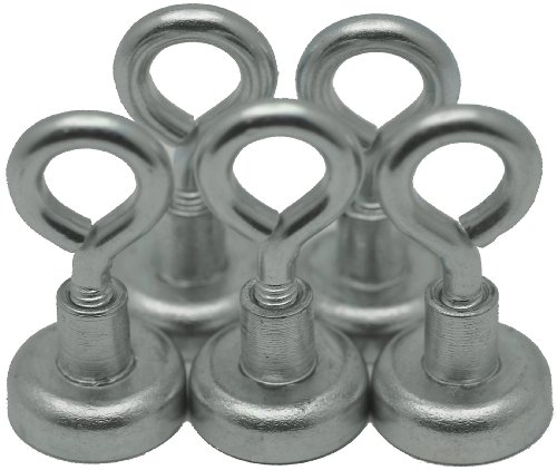 5 Eye Bolt Neodymium Hook Magnets - Each Holds up to 12 Pounds
