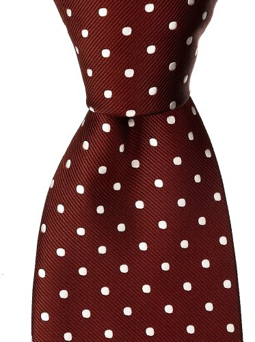 Scott Allan Mens Polka Dot Necktie