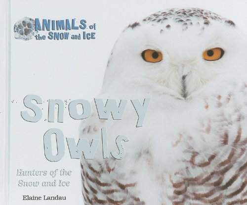 Snowy Owls: Hunters of the Snow and Ice by Elaine Landau