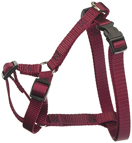 Algopix Similar Product 10 - 