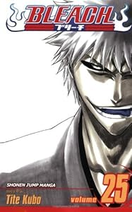 Bleach, Vol. 25: No Shaking Throne