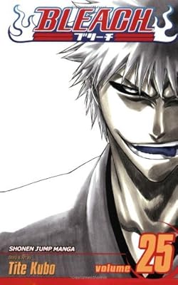 Bleach, Vol. 25: No Shaking Throne