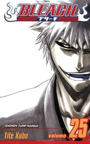 Bleach, Vol. 25: No Shaking Throne by Tite Kubo