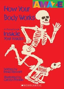 How Your Body Works: A Good Look Inside You Insides by David Stewart 
			
			
		
		
		
       	 
       		
       			,