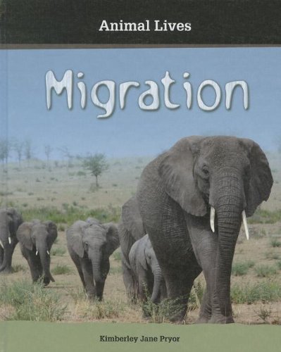 Migration by Kimberley Jane Pryor