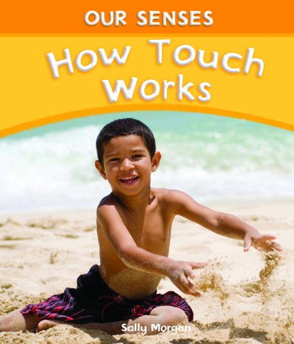 How Touch Works by Sally Morgan