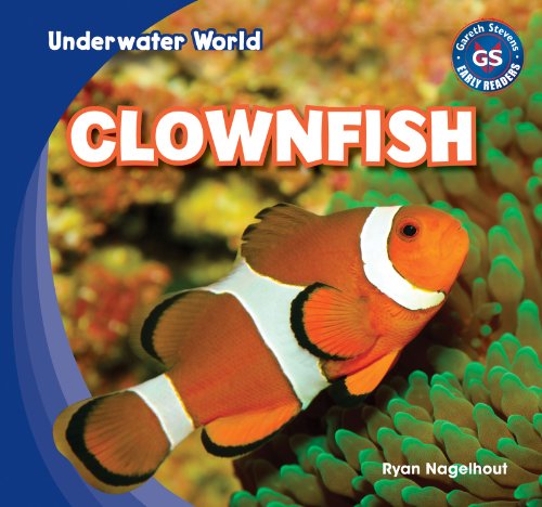 Clownfish by Ryan Nagelhout