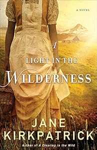 Light in the Wilderness, A: A Novel