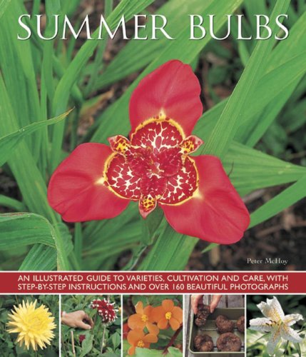 Summer Bulbs: An Illustrated Guide To Varieties, Cultivation And Care, With Step-By-Step Instructions And Over 160 Beautiful Photographs by Peter McHoy