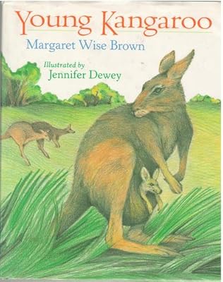 Young Kangaroo