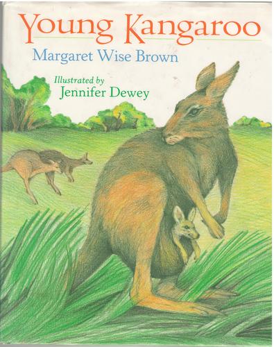 Young Kangaroo by Margaret Wise Brown