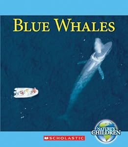 Blue Whales