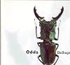 Bedbugs by Odds (1993-10-20)
