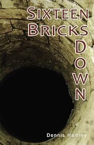 Sixteen Bricks Down