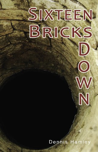 Sixteen Bricks Down by Dennis Hamley